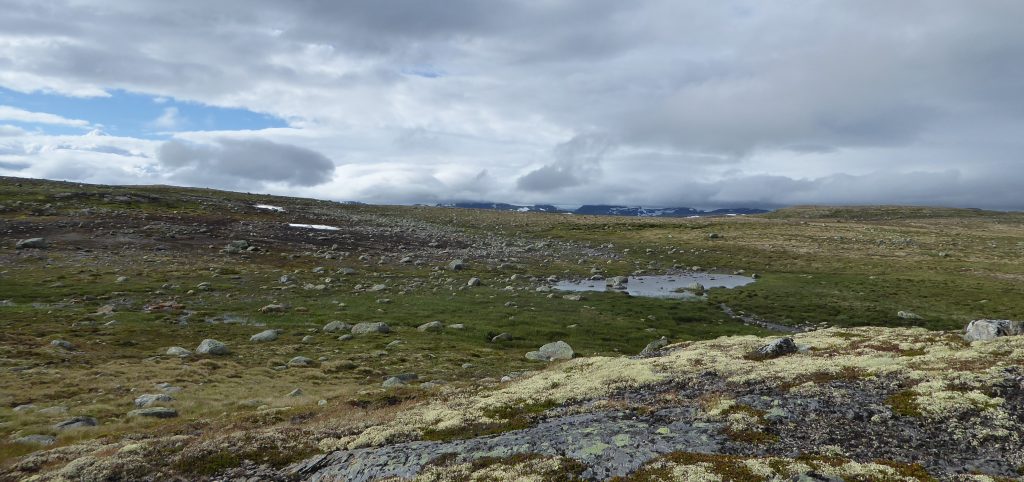 Norska fjällen.